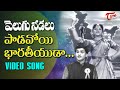 Velugu Needalu Paadavoyi Bhaaratheeyudaa Patriotic Song