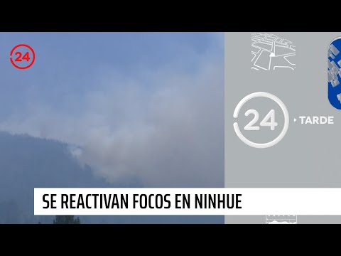 Se reactivan focos de incendio en Ninhue | 24 Horas TVN Chile