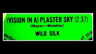 WILD SILK - (VISION IN A) PLASTER SKY