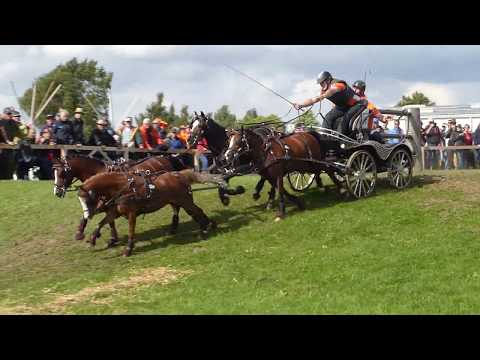 Hammink, Marijke, NED, CH M P A1, A 2, A 4, Minden GER, Marathon Teams Ponies, Ob 7, 19 08 2017