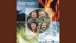 Kadr z teledysku Celtic Symphony tekst piosenki The Wolfe Tones