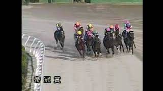 20031008　名古屋競馬のアラブ最後の大物　キジョージャンボ