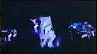 Genesis Live 1975 The Lamia