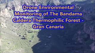 Drone Environmental Monitoring of The Bandama Caldera Thermophilic Forest in Gran Canaria