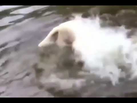 Хороший мальчик на рыбалке