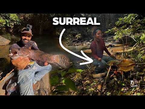 NUNCA SUBESTIME UM GROTÃO! PESCARIA DE TRAIRÃO NA #amazonia  #mata