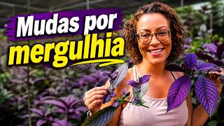 Miniatura do vídeo