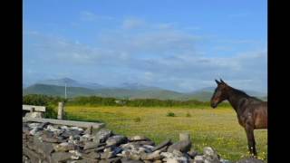 Gomez - See the World