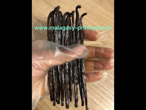 Vanille uit Madagaskar