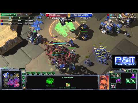 (HD784) Kane vs Demuslim - ZvT - Heart of the Swarm [FR]