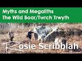 The Story Of The Wild Boar