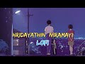 Hridayathin Niramayi Lofi Dulquer Salmaan Nithya Menon 100 Days Of Love L Music And Sports
