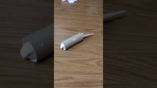 Bird rolls in toilet paper roll