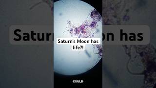 🤯does Saturn’s moon Titan have life?!