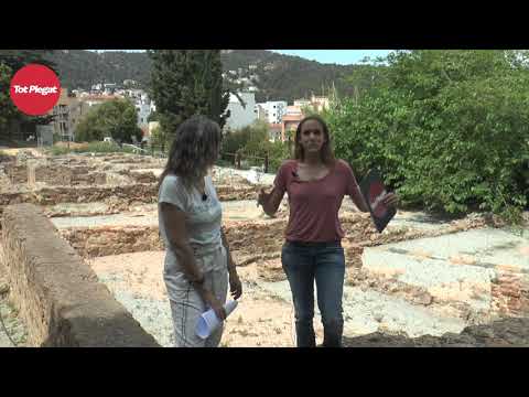 "Tot Plegat"  04x01 - Un Xic de Cultura