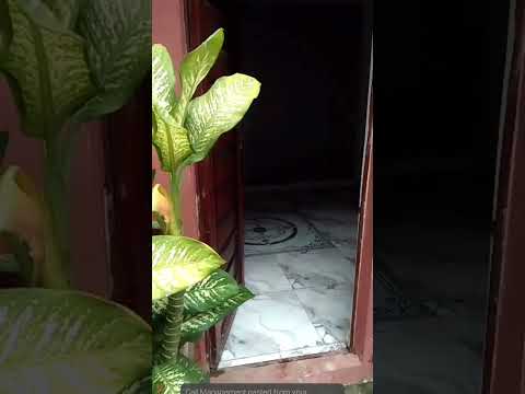 ROOM SELF CONTAIN – LAIDE, BARIGA
