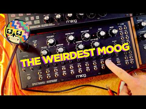 Moog SPECTRAVOX 2024 - Black image 3