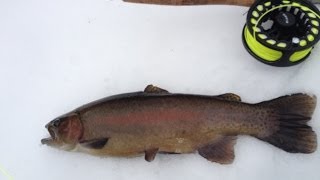 preview picture of video 'Winter Fly Fishing: Big Flat Brook, NJ:  Dec 21, 2013'