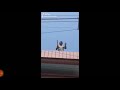 Funny Whatsapp Status Tata Bye Bye Good Bye