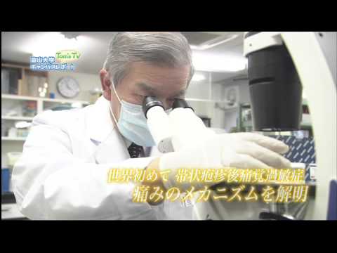 医学部 白木公康 教授 (ウイルス学 (臨床ウイルス学))【Tom's TV 2013】
