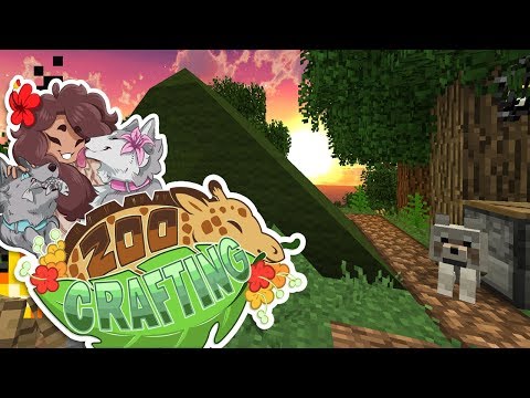 Discovering the Lost Red Wolf Camp?! 🐼🌿 Zoo Crafting • #44