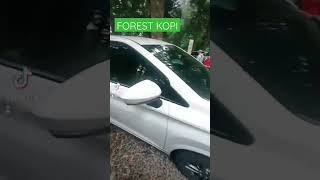 Download lagu Kembang langit Park || FOREST KOPI || Batang Jawa Tengah #wisatabatang  #batang #forestkopi mp3 Download lagu Kembang langit Park || FOREST KOPI || Batang Jawa Tengah #wisatabatang  #batang #forestkopi mp3