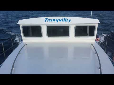 Sea trails for my steel boat build