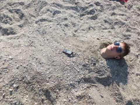 fly project vs bill 2013