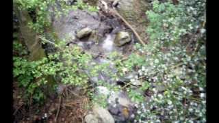 The coldest days of my life - The Chi-Lites (1972)