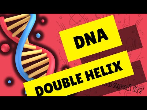 The Discovery of DNA Double Helix