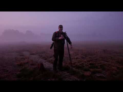 Darz Bór odc  354   początek rykowiska