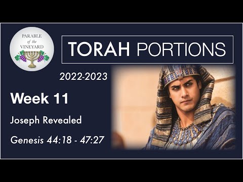 Torah Portion Week 11 - Genesis 44:18-47:27  (Joseph Is Revealed!)  2022-2023