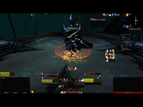 Layer 6 Decayspeaker Prot pally kill