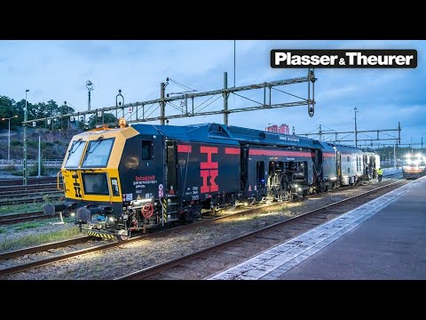 Black Beauty vereint das Beste aus zwei Welten