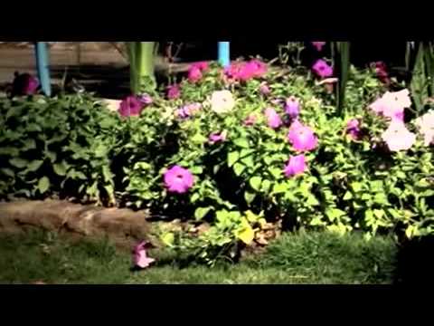 Sianang lai ah   Kimbawi