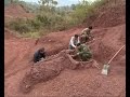 180 Mln Year Old Dinosaur Fossils Discovered In SW China