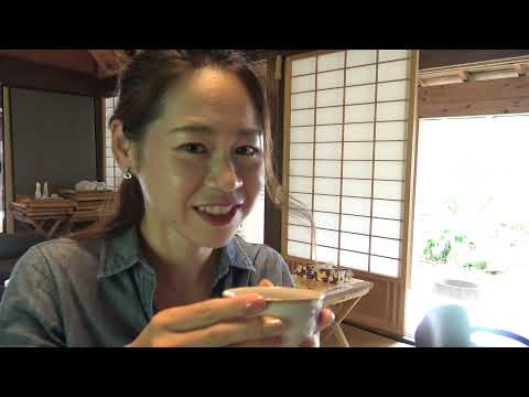 08 Gessotei Akaogi Castle Cultural Museum 赤尾木城文化伝承館 月窓亭
