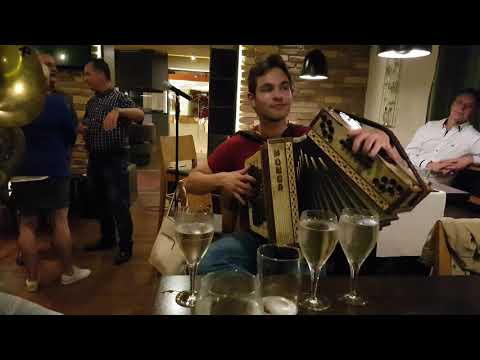 Ich hör so gern Harmonika