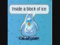 Happy Birthday Song Club Penguin