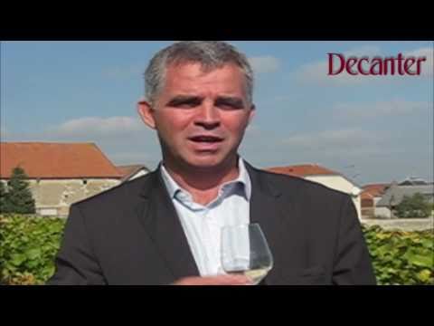 Decanter: Olivier Krug