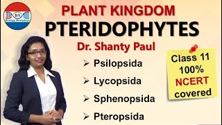 Pteridophytes- Plant kingdom