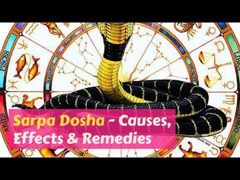 download lagu mp3 mp4 How Long Does Sarpa Dosha Last, download lagu How Long Does Sarpa Dosha Last gratis, unduh video klip How Long Does Sarpa Dosha Last