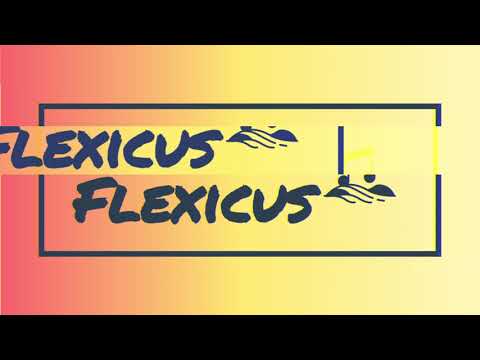 Waka Flocka Flame X Bemax - If You Don't Like To Party (Flexicus Mash Up)