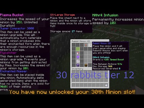 Complete 30 Minions Tier 12 Rabbit Permanent Upgrade (Skyblock)