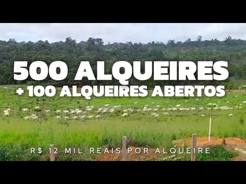 500 ALQUEIRES FARM IN PARÁ WITH 100 ALQUEIRES OPEN R$ 12 THOUSAND REAIS PER ALQUEIRE!