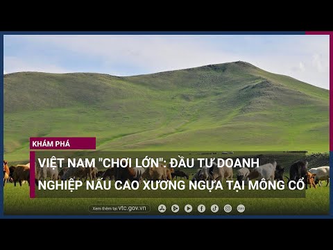 , title : 'Việt Nam "chơi lớn": Đầu tư doanh nghiệp nấu cao xương ngựa tại Mông Cổ | VTC Now'