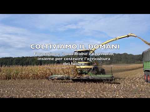 COLTIVIAMO IL DOMANI