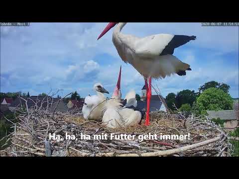 Familienidyll pur! 07.06.20