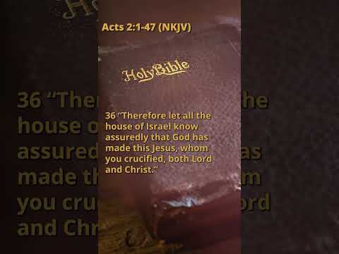 Audio Bible | Book 44 | Acts NKJV