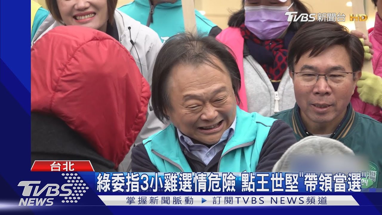 綠委指3小雞選情危險 點王世堅「帶領當選」